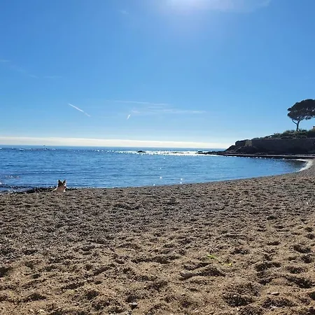 Corail, Vue Plongeante Sur La Lägenhet *