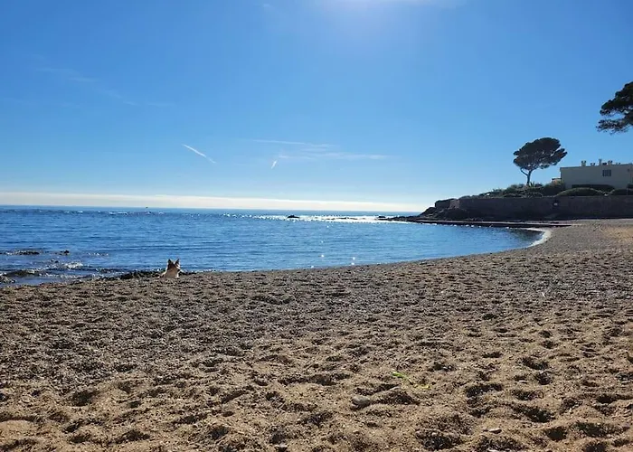 Corail, Vue Plongeante Sur La Lägenhet *